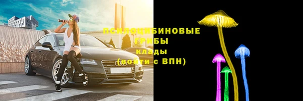 спайс Алзамай