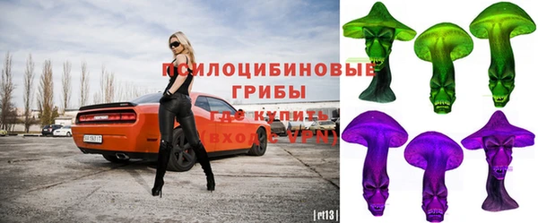 спайс Алзамай