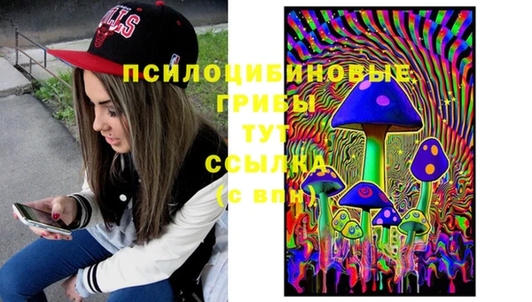 прущий лед Алексин