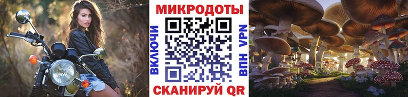 хочу   Дмитриев  Галлюциногенные грибы Psilocybine cubensis 