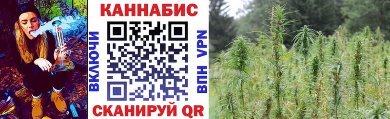 Конопля сатива  Дмитриев 